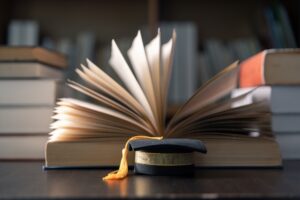 Informatic Computer Education: Course, Skills, Career Growth