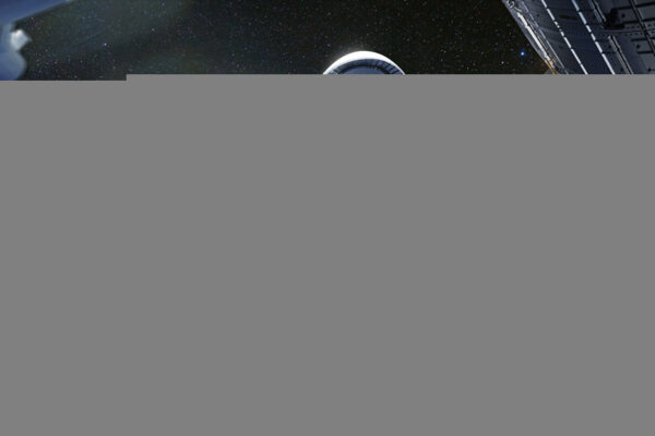 From Classrooms to Companies: Elon Musk